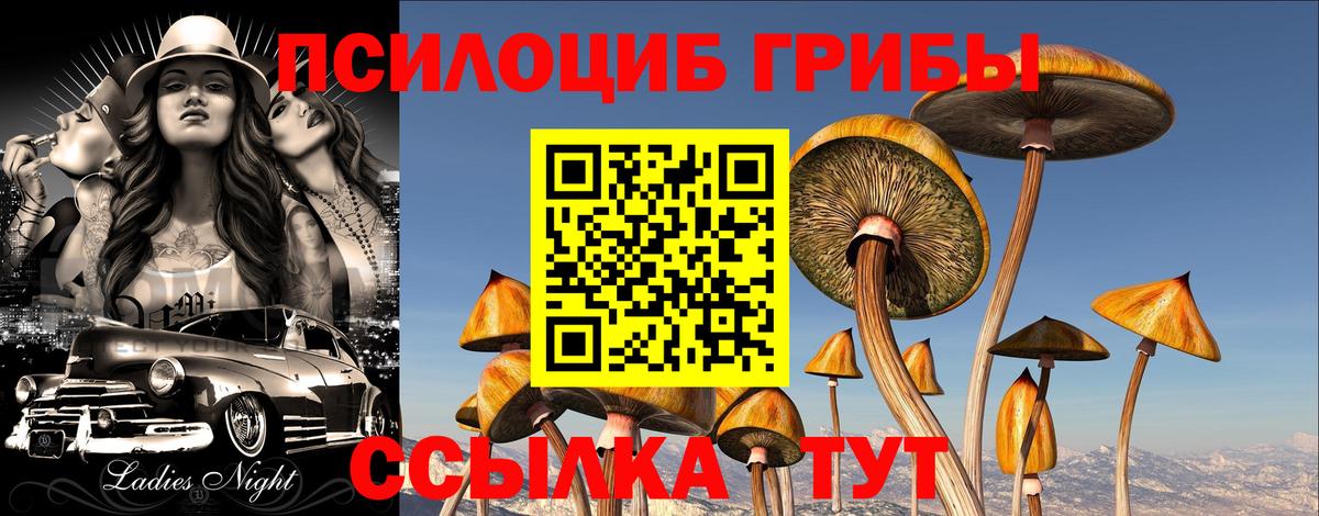 Галлюциногенные грибы мухоморы  Вход с VPN  Псилоцибиновые грибы ЛСД  Ялуторовск 
